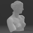 Screenshot-2023-06-12-205139.png Venus de Milo Head Bust