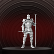 289.png Heavy Knight