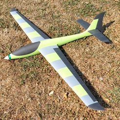 IMG_20220730_110722.jpg Little Acro (3d-printed RC electric glider)
