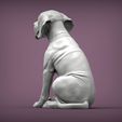Fila-Brasileiro-puppy5.jpg Fila Brasileiro puppy 3D print model