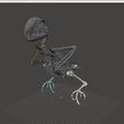 Unbenannt.JPG STL file Macow Skeleton・Model to download and 3D print