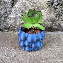IMG_20200520_204007.jpg STL file Bubble pot・3D printable design to download