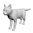 k.jpg Cat