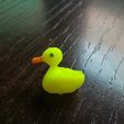 IMG_20240107_135013.jpg Rubber duck