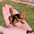 FLEXI-CAT-FLOW-ARTICULATED.jpg Flexi Cat (3mf included) - Print in Place - Articulated Kitty - Flow