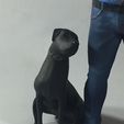 il_1588xN.7138257683_6gxi.jpg David Berkowitz (Son of Sam) Figure with Harvey the Dog
