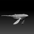 w1.jpg Humpback whale - decorative Humpback whale- Humpback whale elephant