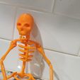 20230921_101102.jpg Articulated Skeleton