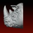 3.jpg Rhino head