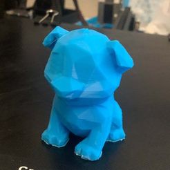 IMG_6311.JPG Fichier STL gratuit chien de test à faible poly endurance 3・Objet imprimable en 3D à télécharger