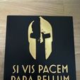 img_3971.jpeg Si Vis Pacem Para Bellum