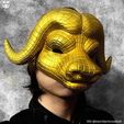 245046014_10226881855411486_275807507593041174_n.jpg Squid Game Mask - Vip Buffalo Mask Cosplay 3D print model