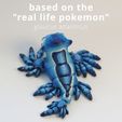 7.jpg Blue Dragon / Glaucus Atlanticus ("The real life pokemon")