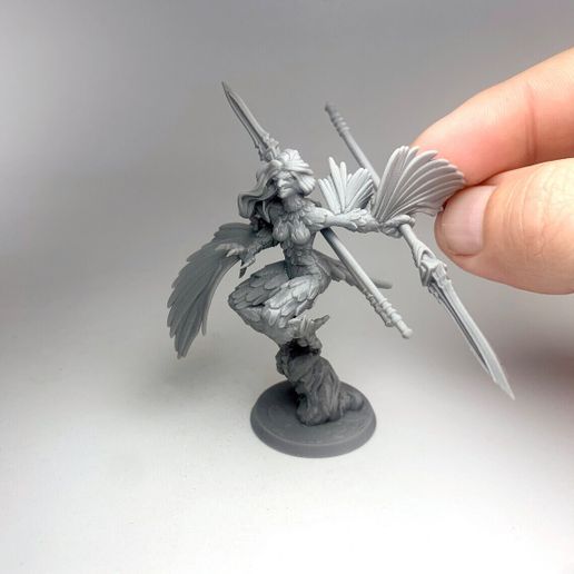 image.jpeg harpia v3