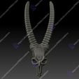 10.jpg Horned Skulls Set.