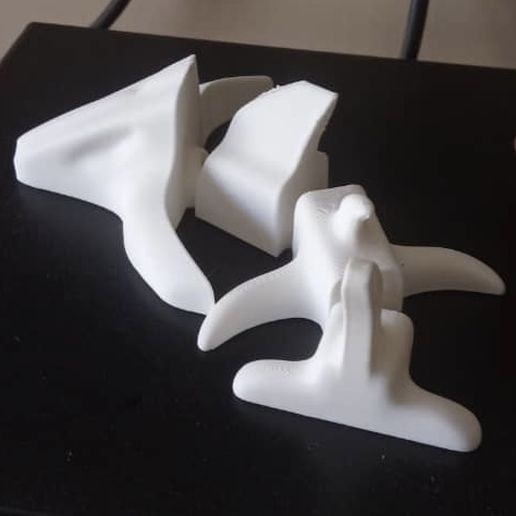 3716294c-a669-45ef-a22f-e86d6e288588.jpg Archivo STL Flexi bone shark (print in place)・Modelo de impresora 3D para descargar, QBKO3D