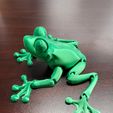 Cute Flexi Print-in-Place Frog, smithkcred