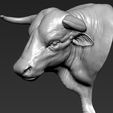 12.png Head Bull