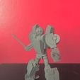 RCIMG5.jpeg Great Aunt (not transformers Arcee) transformable, posable action figure