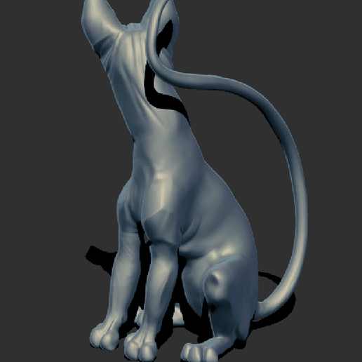 2.png Sphynx Cat