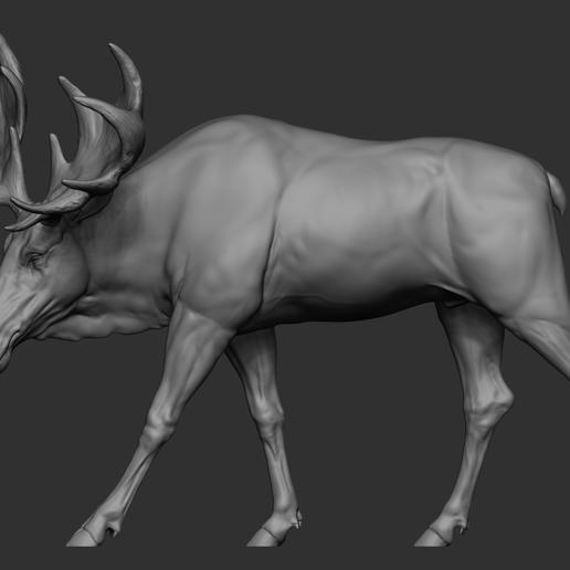 09.png Moose
