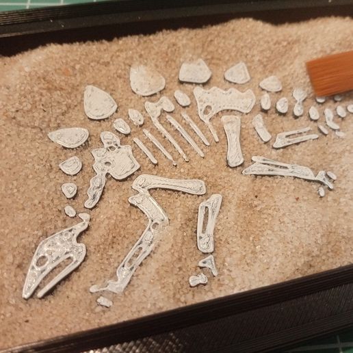 IMG_20250612_150634_309.jpg DINO JARDÍN ZEN