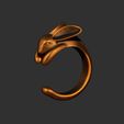 ZBrush-Movie.MPG_snapshot_00.05.698.jpg Кольцо для кролика - 3D модель
