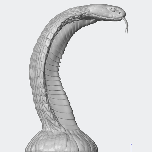 The King’s Strike: Royal Cobra Bust (STL)