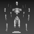 S-19.jpg Terminator T800 Salvation Endoskeleton Pose 1