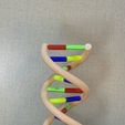 IMG_9642.JPG DNA model