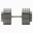 Guard_140_S.jpg Dumbbell Quad Guard: outer diameter 140mm