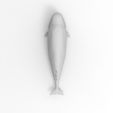 whale_render_06.jpg Free OBJ file whale・3D printing idea to download