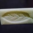 20130603_163842_1_display_large.jpg STL-Datei the mold of a leaf kostenlos・Modell zum 3D-Drucken zum herunterladen