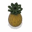 28b.JPG Pineapple / Pineapple /Ananas
