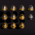 Sentinel-3.png Sentinels of the Void Pauldrons