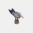 model.png Mouette
