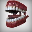 Altermnate_view.jpg Mouth