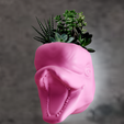 head-planter-3.png beluga whale wall mount planter succulent pot flower vase STL