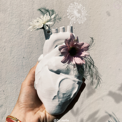 3D-Google-Drive-Google-Chrome-31_5_2023-20_23_43.png anatomical heart vase /// anatomical heart vase