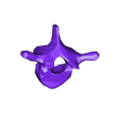 VertebralColumn27.stl Skeleton vertebral column torso bones (90 bones)