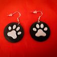 IMG20240122175334.jpg Pendientes Pawprint