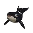 H04.jpg ORCA Killer Whale Dolphin FISH sea CREATURE 3D ANIMATED RIGGED MODEL