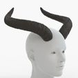 Headshot_Image-0004.jpg Large Horns | Marie