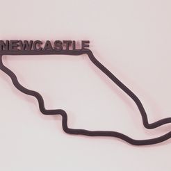 P1012540.jpg Arte en el hipódromo - Newcastle