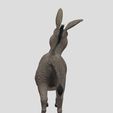 IMG_8019.jpeg Donkey (Pocket Shrek) And (Animations)