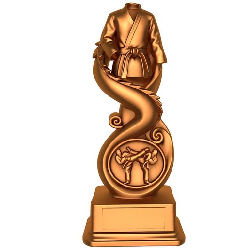Taekwondo award / Taekwondo Trophy / Award / trophy / trophy stl / trophy printer