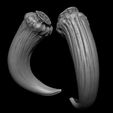 05.jpg 3D PRINTABLE MYTHOSAUR SKULL  HORNS AND SORGAN FROG THE MANDALORIAN
