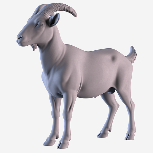 001.png Nanny goat