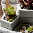 Image-5.jpeg Custom Modular Planters