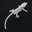 Lick5.png Crested Gecko Lizard Pet